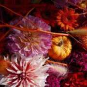 ヒメ日記 2025/11/13 14:06 投稿 如月 熟女待機所 厚木店