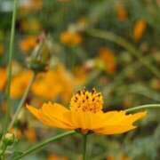 ヒメ日記 2025/11/18 21:25 投稿 如月 熟女待機所 厚木店