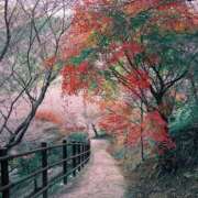 ヒメ日記 2025/12/10 15:45 投稿 如月 熟女待機所 厚木店