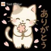 如月 お礼日記 熟女待機所 厚木店