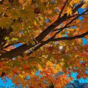 ヒメ日記 2025/12/21 11:25 投稿 如月 熟女待機所 厚木店