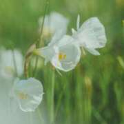 ヒメ日記 2026/01/21 11:45 投稿 如月 熟女待機所 厚木店