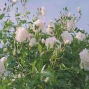 ヒメ日記 2026/03/05 11:25 投稿 如月 熟女待機所 厚木店