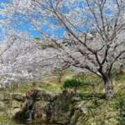 ヒメ日記 2026/04/03 18:06 投稿 如月 熟女待機所 厚木店