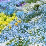 ヒメ日記 2026/05/13 20:45 投稿 如月 熟女待機所 厚木店