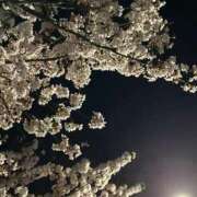 ヒメ日記 2025/01/09 20:23 投稿 るい しろうと娘　本店