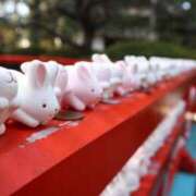 ヒメ日記 2025/02/09 13:17 投稿 るい しろうと娘　本店