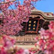 ヒメ日記 2025/03/23 12:23 投稿 るい しろうと娘　本店