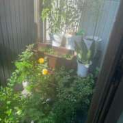 ヒメ日記 2025/05/04 12:23 投稿 るい しろうと娘　本店