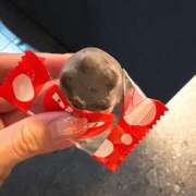 ヒメ日記 2025/05/09 14:04 投稿 るい しろうと娘　本店