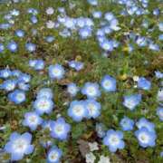 ヒメ日記 2025/05/22 21:53 投稿 るい しろうと娘　本店