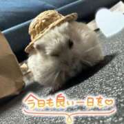 ヒメ日記 2025/06/03 09:12 投稿 れいか ミルキーウェイ（近江八幡）