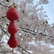 ヒメ日記 2026/03/29 16:52 投稿 るな CLASSY.名古屋・新栄店