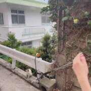 ヒメ日記 2026/04/15 18:40 投稿 るな CLASSY.名古屋・新栄店