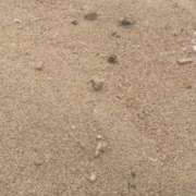 ヒメ日記 2026/04/16 15:40 投稿 るな CLASSY.名古屋・新栄店