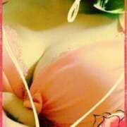 ヒメ日記 2024/12/10 07:21 投稿 みき 尼妻（あまづま）