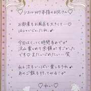 ヒメ日記 2026/01/30 07:30 投稿 Ray 濃密バブルSPA VIP