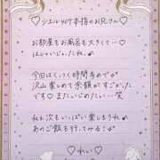 ヒメ日記 2026/01/30 07:44 投稿 Ray 濃密バブルSPA VIP