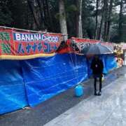 ヒメ日記 2025/01/07 14:44 投稿 りこ 静岡人妻なでしこ（カサブランカグループ)