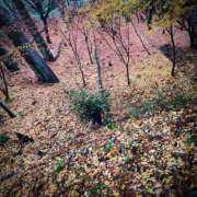 ヒメ日記 2025/01/07 16:19 投稿 りこ 静岡人妻なでしこ（カサブランカグループ)