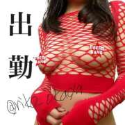 ヒメ日記 2025/03/19 11:40 投稿 りこ 静岡人妻なでしこ（カサブランカグループ)