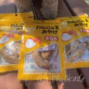 ヒメ日記 2025/04/17 21:46 投稿 りこ 静岡人妻なでしこ（カサブランカグループ)