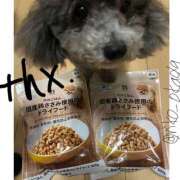 ヒメ日記 2025/05/01 14:16 投稿 りこ 静岡人妻なでしこ（カサブランカグループ)