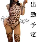 ヒメ日記 2025/05/29 10:04 投稿 りこ 静岡人妻なでしこ（カサブランカグループ)