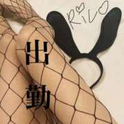 ヒメ日記 2025/05/29 16:02 投稿 りこ 静岡人妻なでしこ（カサブランカグループ)