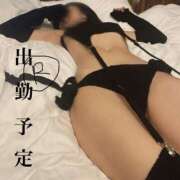 ヒメ日記 2025/06/19 09:30 投稿 りこ 静岡人妻なでしこ（カサブランカグループ)