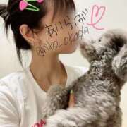 ヒメ日記 2025/07/09 20:24 投稿 りこ 静岡人妻なでしこ（カサブランカグループ)