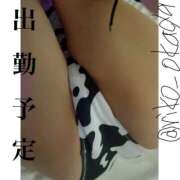 ヒメ日記 2025/08/13 10:46 投稿 りこ 静岡人妻なでしこ（カサブランカグループ)