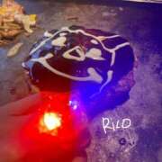 ヒメ日記 2025/08/21 14:50 投稿 りこ 静岡人妻なでしこ（カサブランカグループ)