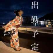 ヒメ日記 2025/08/30 10:12 投稿 りこ 静岡人妻なでしこ（カサブランカグループ)
