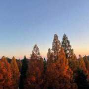 ヒメ日記 2025/02/03 18:03 投稿 まゆ スッキリ！！日本橋店