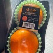 ヒメ日記 2025/02/21 19:01 投稿 まゆ スッキリ！！日本橋店