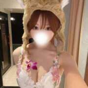 ヒメ日記 2024/12/19 20:24 投稿 ここあ 綺麗なお姉様専門　新横浜リング4C（アンジェリークグループ）