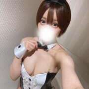 ヒメ日記 2025/04/02 22:34 投稿 ここあ 綺麗なお姉様専門　新横浜リング4C（アンジェリークグループ）