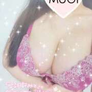 ヒメ日記 2025/09/04 19:36 投稿 むぎ 綺麗なお姉様専門　新横浜リング4C（アンジェリークグループ）