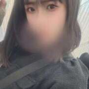 ヒメ日記 2025/11/17 19:19 投稿 とわ 綺麗なお姉様専門　新横浜リング4C（アンジェリークグループ）