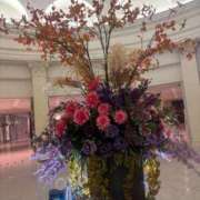 ヒメ日記 2025/11/18 02:18 投稿 とわ 綺麗なお姉様専門　新横浜リング4C（アンジェリークグループ）