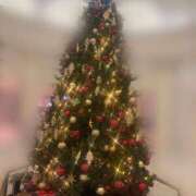 ヒメ日記 2025/12/05 01:20 投稿 とわ 綺麗なお姉様専門　新横浜リング4C（アンジェリークグループ）