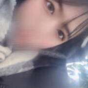 ヒメ日記 2026/02/12 12:30 投稿 とわ 綺麗なお姉様専門　新横浜リング4C（アンジェリークグループ）