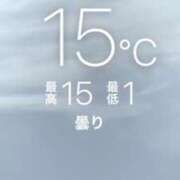 ヒメ日記 2026/02/14 13:45 投稿 とわ 綺麗なお姉様専門　新横浜リング4C（アンジェリークグループ）