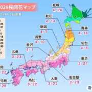 ヒメ日記 2026/02/15 23:52 投稿 とわ 綺麗なお姉様専門　新横浜リング4C（アンジェリークグループ）