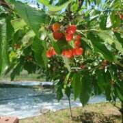 ヒメ日記 2025/05/29 00:15 投稿 【教師】ゆずき ピサージュ甲府