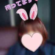 ヒメ日記 2026/02/20 12:12 投稿 【教師】ゆずき ピサージュ甲府