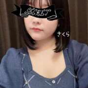 さくら 明日20時から🤍 綺麗なお姉様専門　新横浜リング4C（アンジェリークグループ）