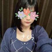 さくら 今晩♡♡ 綺麗なお姉様専門　新横浜リング4C（アンジェリークグループ）