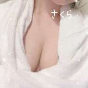 さくら 出勤しました🌸✨ 綺麗なお姉様専門　新横浜リング4C（アンジェリークグループ）